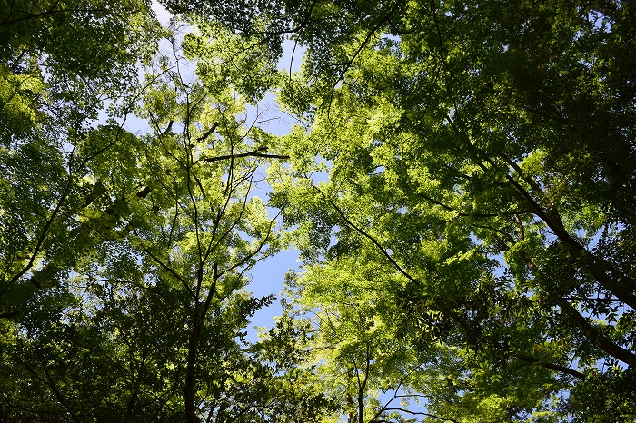 DSC_0917