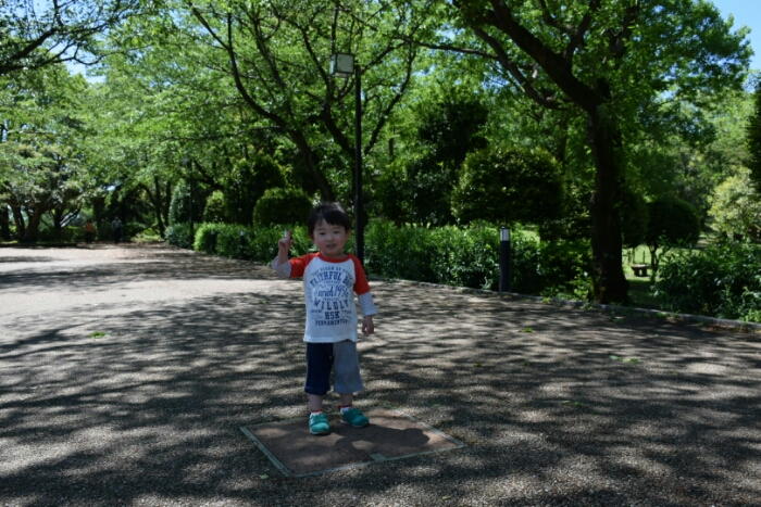 DSC_0832.JPG image