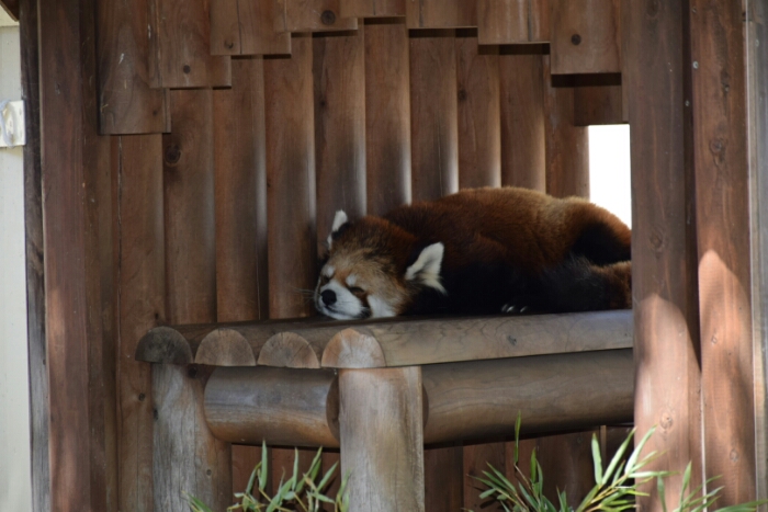 DSC_0876.JPG image