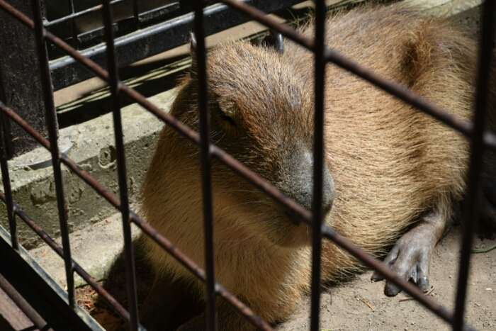 DSC_0877.JPG image