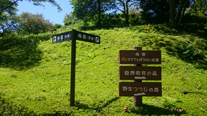 DSC_1557.JPG image
